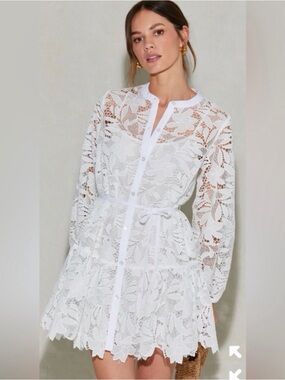 Astr White Celie Crochet Lace Mini Dress